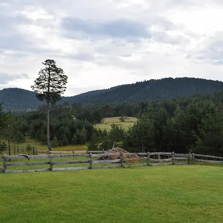 Zlatiborsko Srce 木屋 *