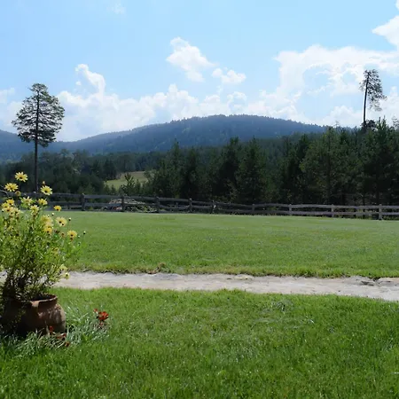 Zlatiborsko Srce 木屋 Cemerikovci